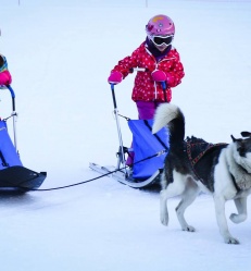 La Bourboule_Chiens_de_traineau.